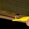carpenter bee blocker pro blog cart, Secure Checkout, Order Received, bee traps for carpenter bees