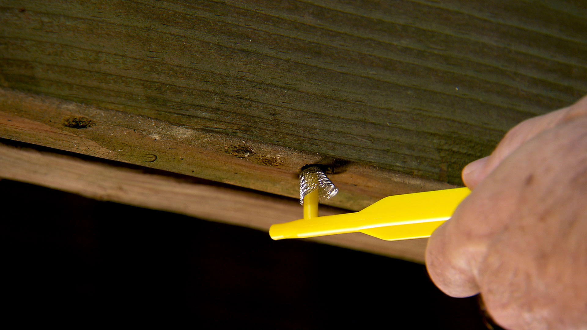 Carpenter Bee Trap alternative