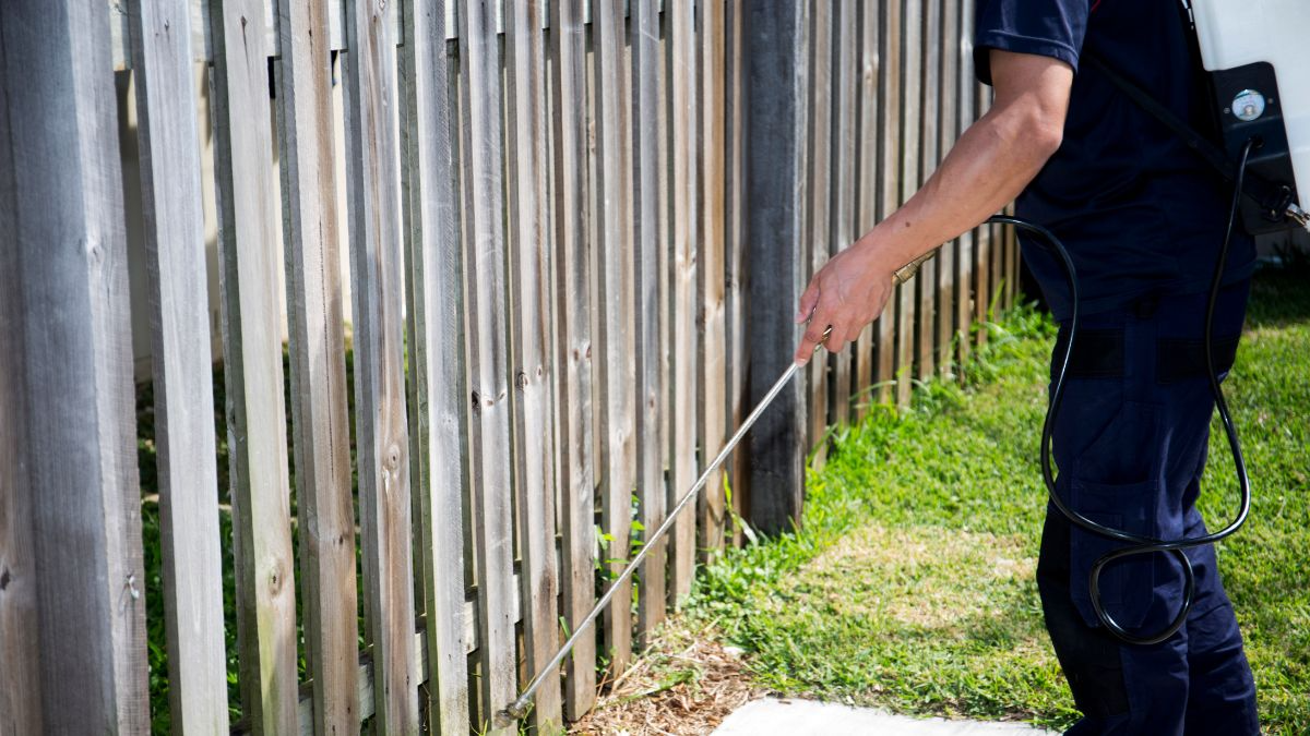 carpenter bee sprays