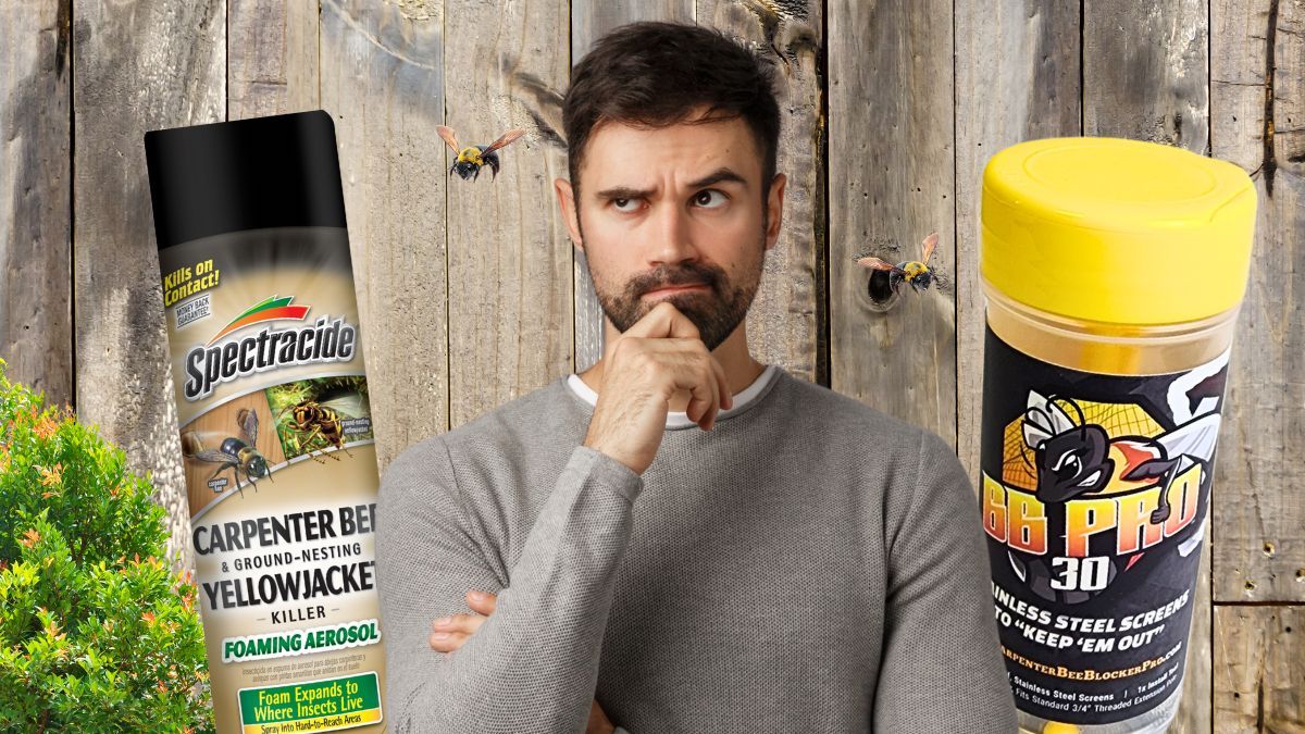 spectracide carpenter bee versus carpenter bee blocker pro BB PRO spray foam